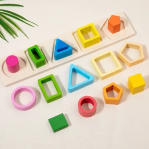 Kids Learning Toys: Montessori Wooden Sorting Blocks for Color and Shape Recognition